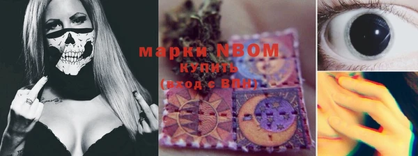 трава Арсеньев