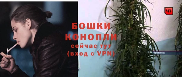 сатива Нягань