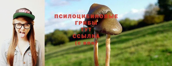 сатива Нягань