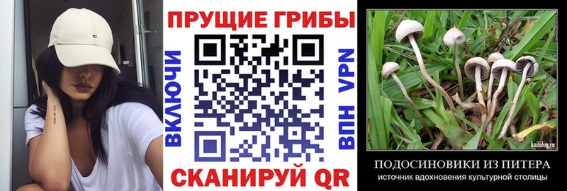 Галлюциногенные грибы GOLDEN TEACHER  Павлово 